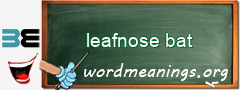 WordMeaning blackboard for leafnose bat